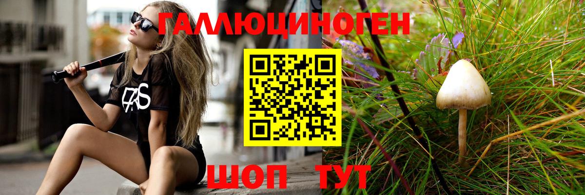 Кингисепп  Псилоцибиновые грибы мухоморы  Вход с VPN 