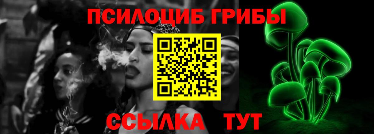 Галлюциногенные грибы Cubensis Кингисепп