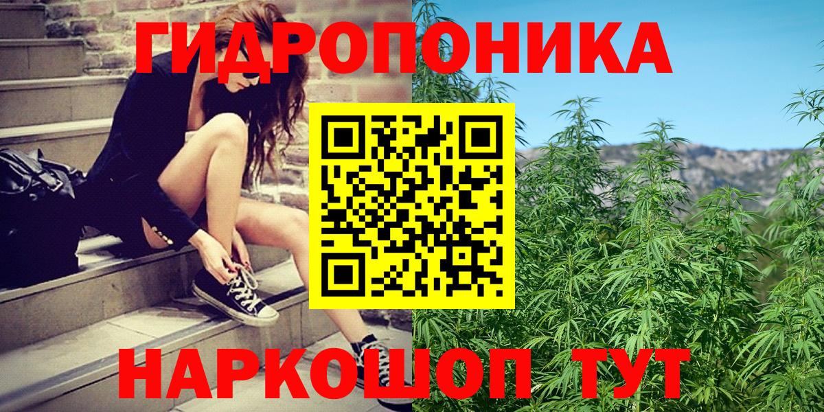 Бошки Шишки план  Марихуана гибрид  Шишки марихуана марихуана  Канабис Ganja  Кингисепп  Вход с VPN 